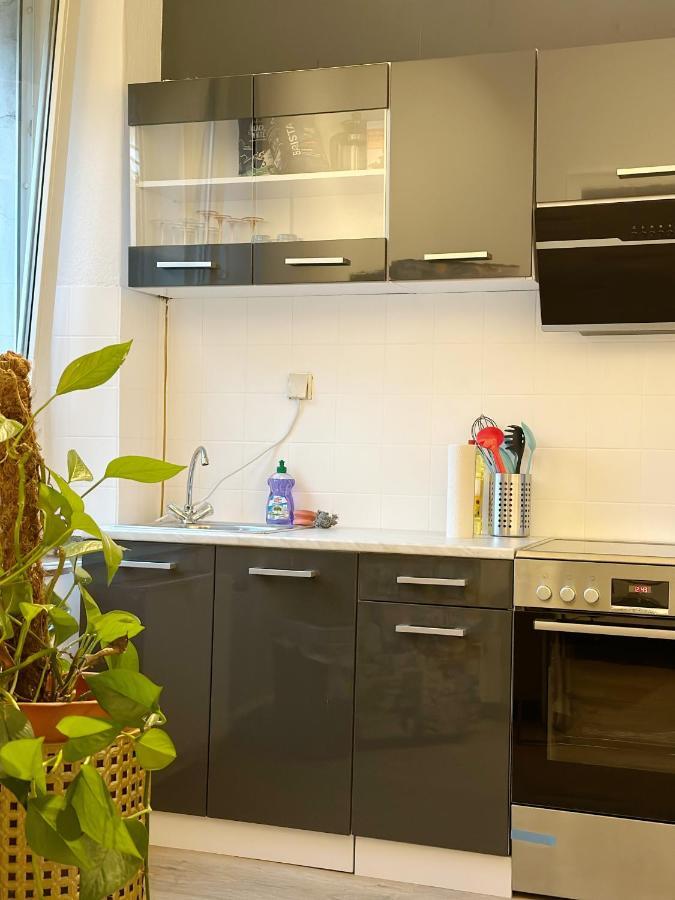 Igo Apartment: Rhine Riverfront Pet-Friendly with Washer/Dryer Duisburg Exterior photo
